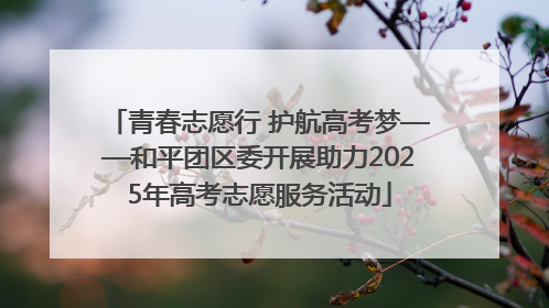 青春志愿行 护航高考梦——和平团区委开展助力2025年高考志愿服务活动