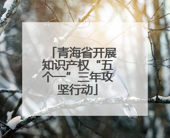 青海省开展知识产权“五个一”三年攻坚行动