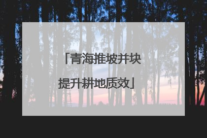 青海推坡并块提升耕地质效