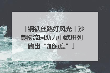 钢铁丝路好风光丨沙良物流园助力中欧班列跑出“加速度”