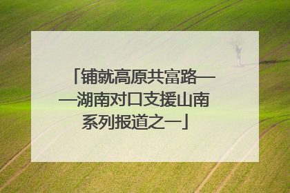 铺就高原共富路——湖南对口支援山南系列报道之一