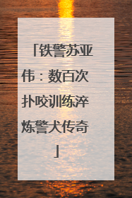 铁警苏亚伟：数百次扑咬训练淬炼警犬传奇