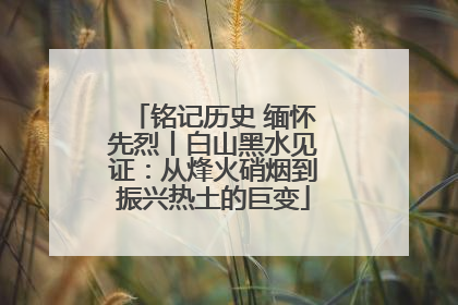 铭记历史 缅怀先烈丨白山黑水见证：从烽火硝烟到振兴热土的巨变