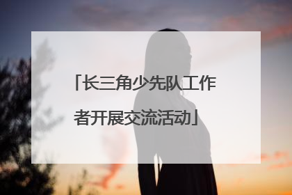 长三角少先队工作者开展交流活动