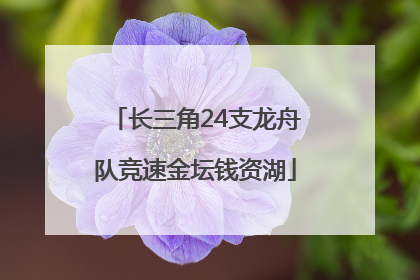 长三角24支龙舟队竞速金坛钱资湖