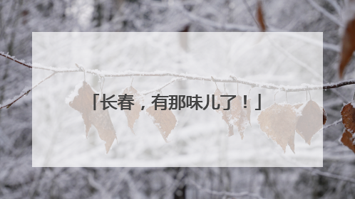 长春，有那味儿了！
