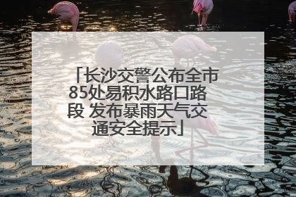 长沙交警公布全市85处易积水路口路段 发布暴雨天气交通安全提示