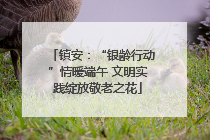 镇安：“银龄行动”情暖端午 文明实践绽放敬老之花