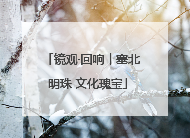 镜观·回响丨塞北明珠 文化瑰宝