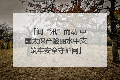 闻“汛”而动 中国太保产险丽水中支筑牢安全守护网
