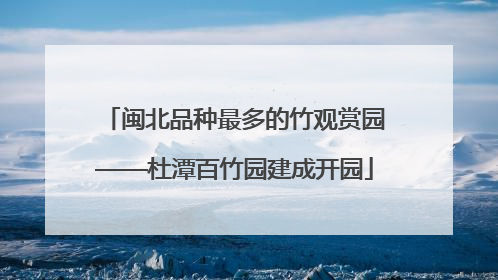 闽北品种最多的竹观赏园——杜潭百竹园建成开园