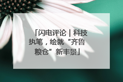 闪电评论｜科技执笔，绘就“齐鲁粮仓”新丰景