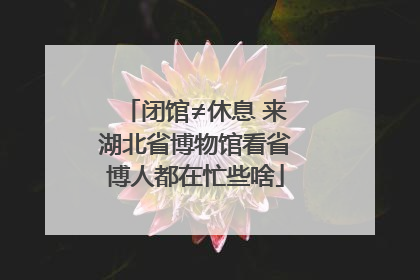 闭馆≠休息 来湖北省博物馆看省博人都在忙些啥