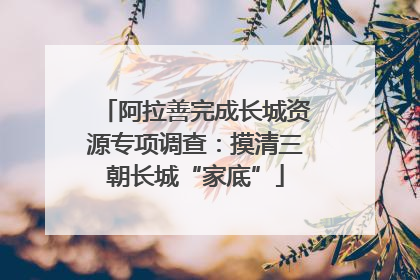 阿拉善完成长城资源专项调查：摸清三朝长城“家底”