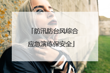 防汛防台风综合应急演练保安全