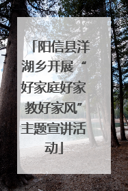 阳信县洋湖乡开展“好家庭好家教好家风”主题宣讲活动