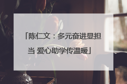 陈仁文：多元奋进显担当 爱心助学传温暖
