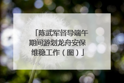 陈武军督导端午期间游划龙舟安保维稳工作（图）