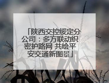 陕西交控绥定分公司：多方联动织密护路网 共绘平安交通新图景