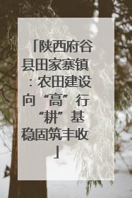 陕西府谷县田家寨镇：农田建设向“高”行 “耕”基稳固筑丰收