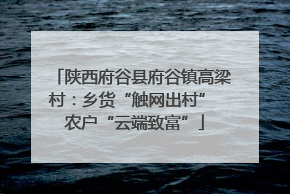 陕西府谷县府谷镇高梁村：乡货“触网出村” 农户“云端致富”