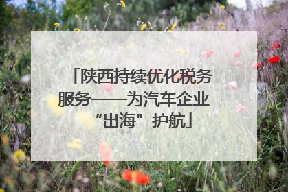 陕西持续优化税务服务——为汽车企业“出海”护航
