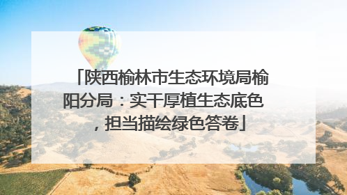 陕西榆林市生态环境局榆阳分局：实干厚植生态底色，担当描绘绿色答卷