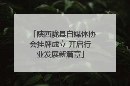 陕西陇县自媒体协会挂牌成立 开启行业发展新篇章