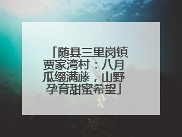 随县三里岗镇贾家湾村:八月瓜缀满藤,山野孕育甜蜜希望