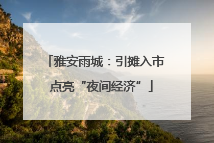 雅安雨城：引摊入市 点亮“夜间经济”