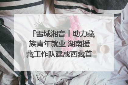 雪域湘音丨助力藏族青年就业 湖南援藏工作队建成西藏首个清洁能源装备园