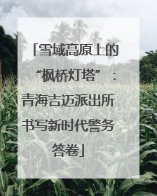 雪域高原上的“枫桥灯塔”：青海吉迈派出所书写新时代警务答卷