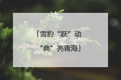 雪豹“跃”动 “典”亮青海