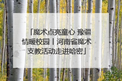 魔术点亮童心 豫疆情暖校园丨河南省魔术支教活动走进哈密