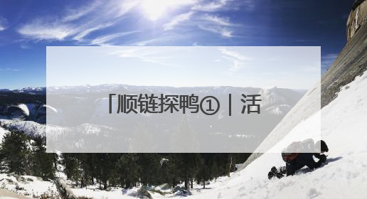 顺链探鸭①｜活鸭20元一斤，街头烤鸭为何却能卖到20多元一只