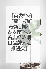 首发经济“燃”动消费新引擎 泰安市举办首店经济项目品牌入驻推进会
