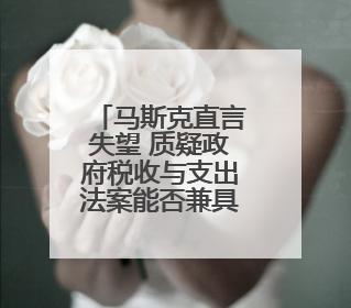 马斯克直言失望 质疑政府税收与支出法案能否兼具“大而美”