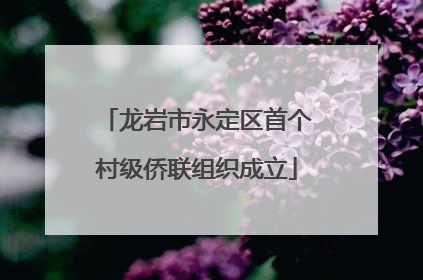 龙岩市永定区首个村级侨联组织成立