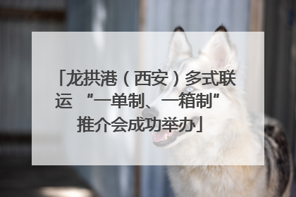龙拱港（西安）多式联运 “一单制、一箱制” 推介会成功举办