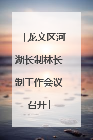 龙文区河湖长制林长制工作会议召开