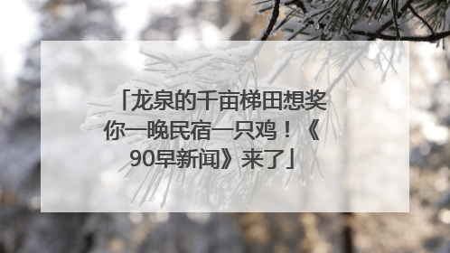 龙泉的千亩梯田想奖你一晚民宿一只鸡！《90早新闻》来了