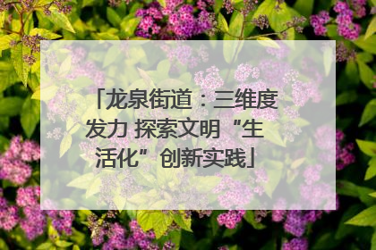龙泉街道：三维度发力 探索文明“生活化”创新实践