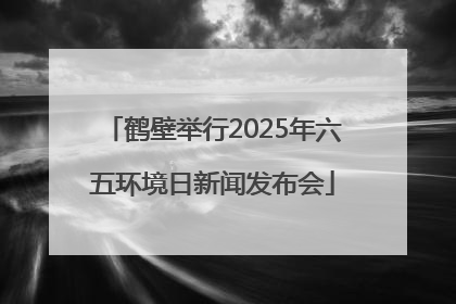 鹤壁举行2025年六五环境日新闻发布会