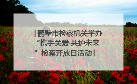鹤壁市检察机关举办“携手关爱·共护未来”检察开放日活动