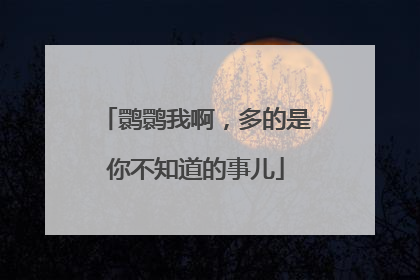鹮鹮我啊，多的是你不知道的事儿