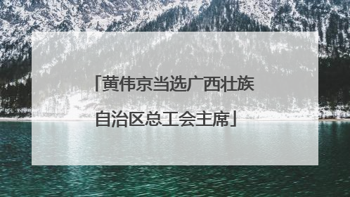 黄伟京当选广西壮族自治区总工会主席