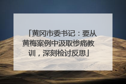 黄冈市委书记：要从黄梅案例中汲取惨痛教训，深刻检讨反思