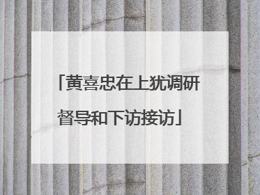 黄喜忠在上犹调研督导和下访接访