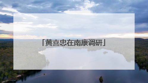 黄喜忠在南康调研