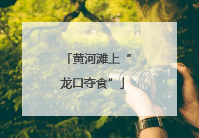 黄河滩上“龙口夺食”